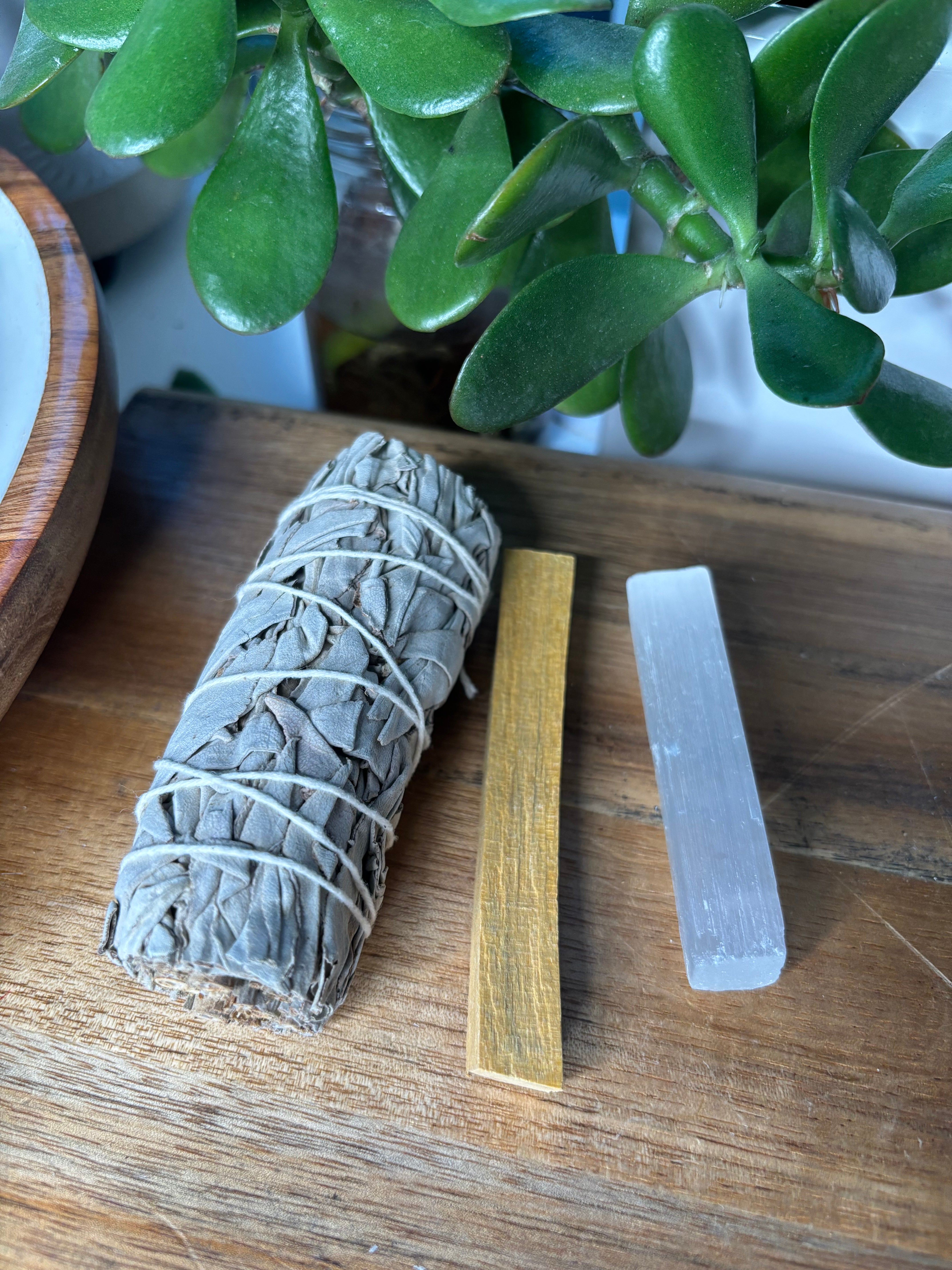 Purify & Protect Bundle