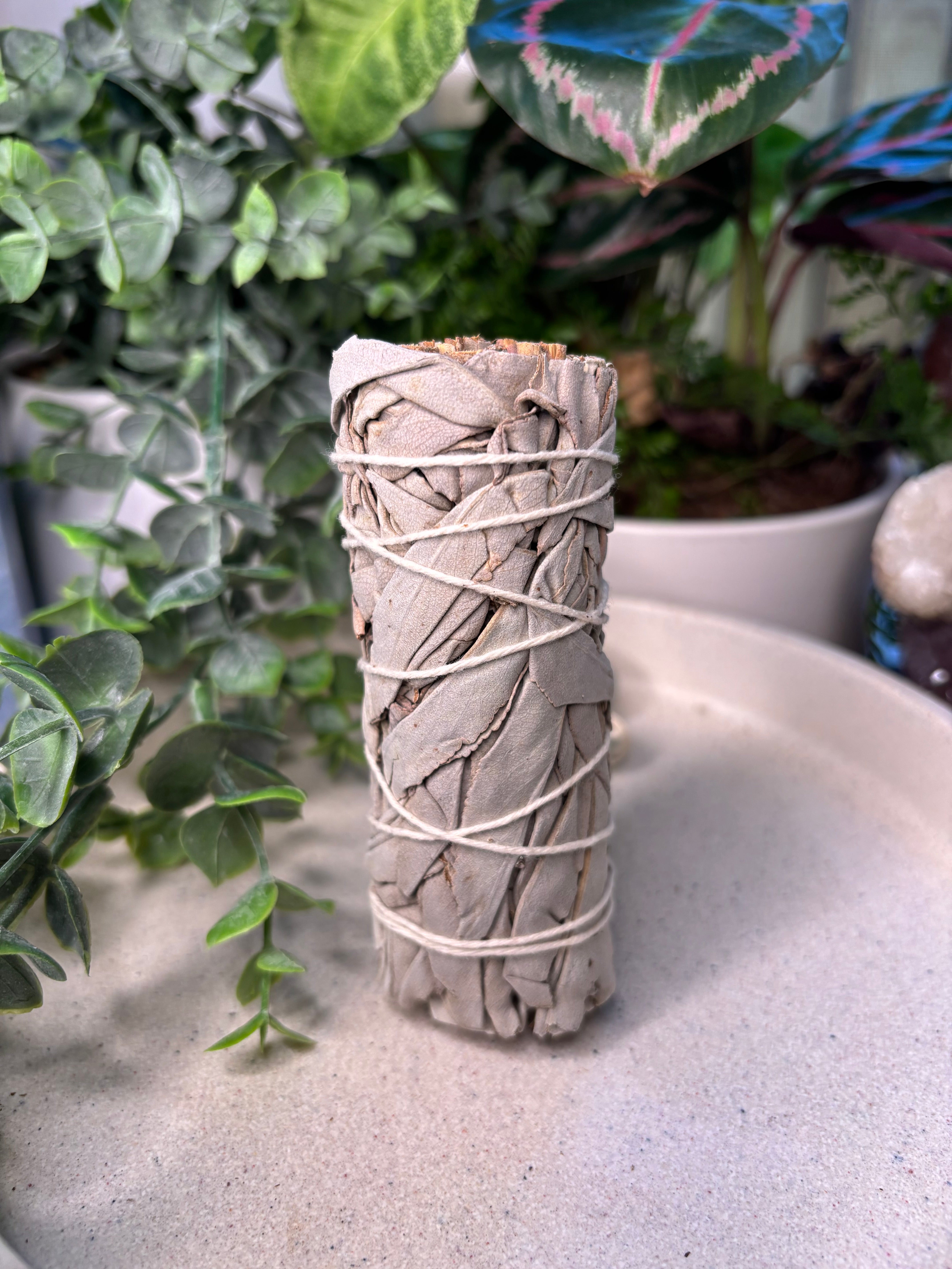 White Sage Smudge Sticks