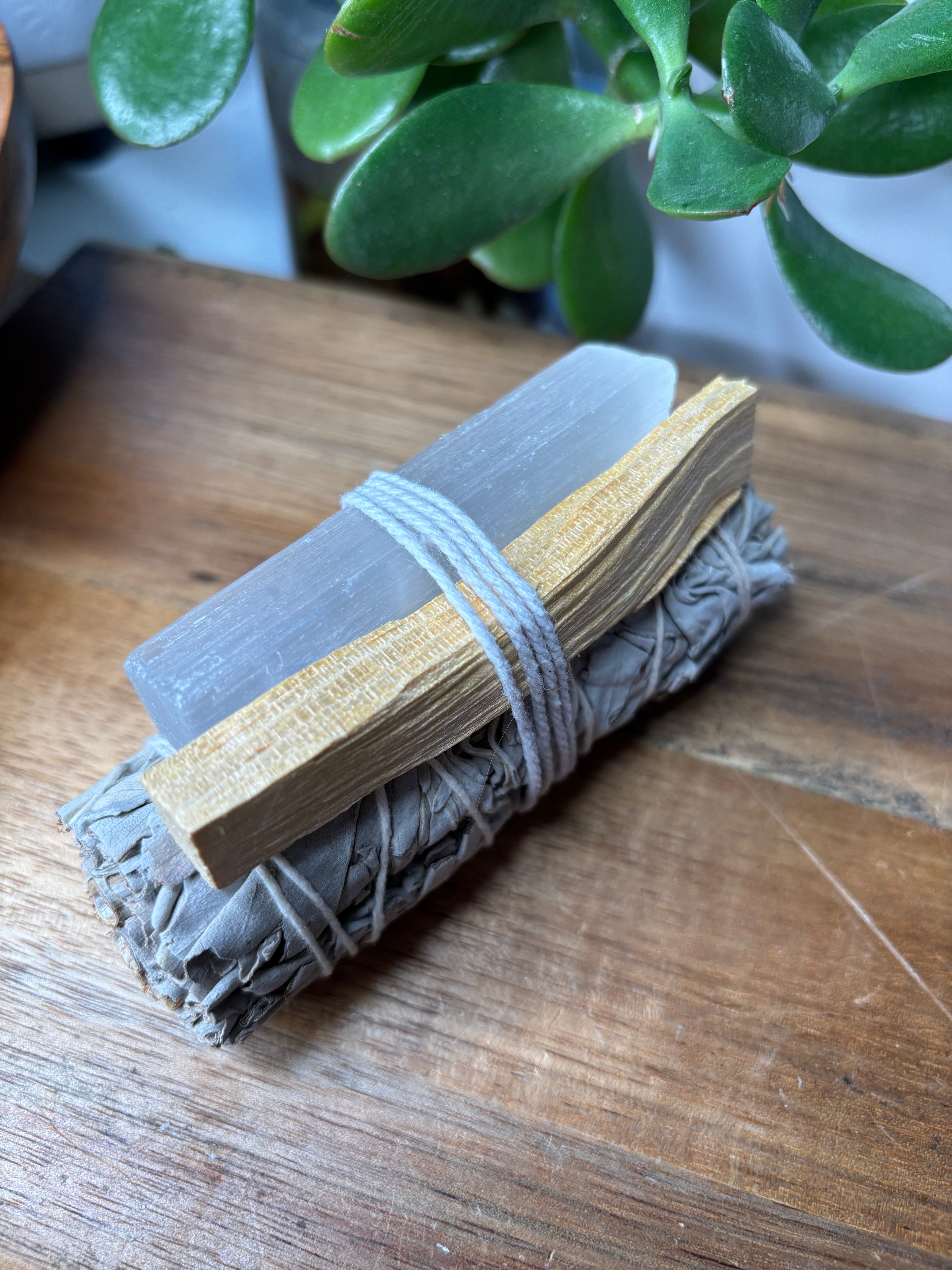 Purify & Protect Bundle