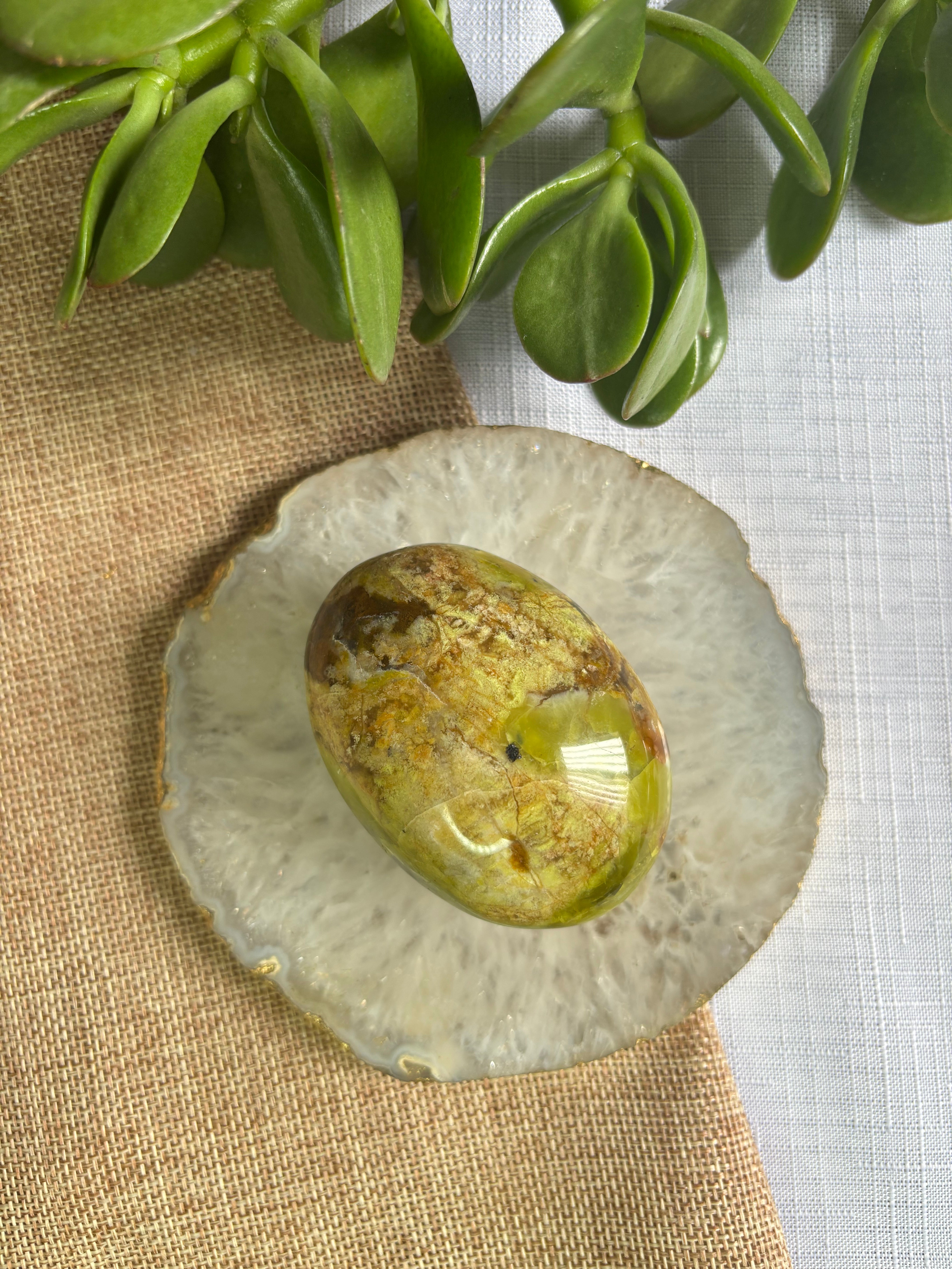 Green Opal Palm Stone