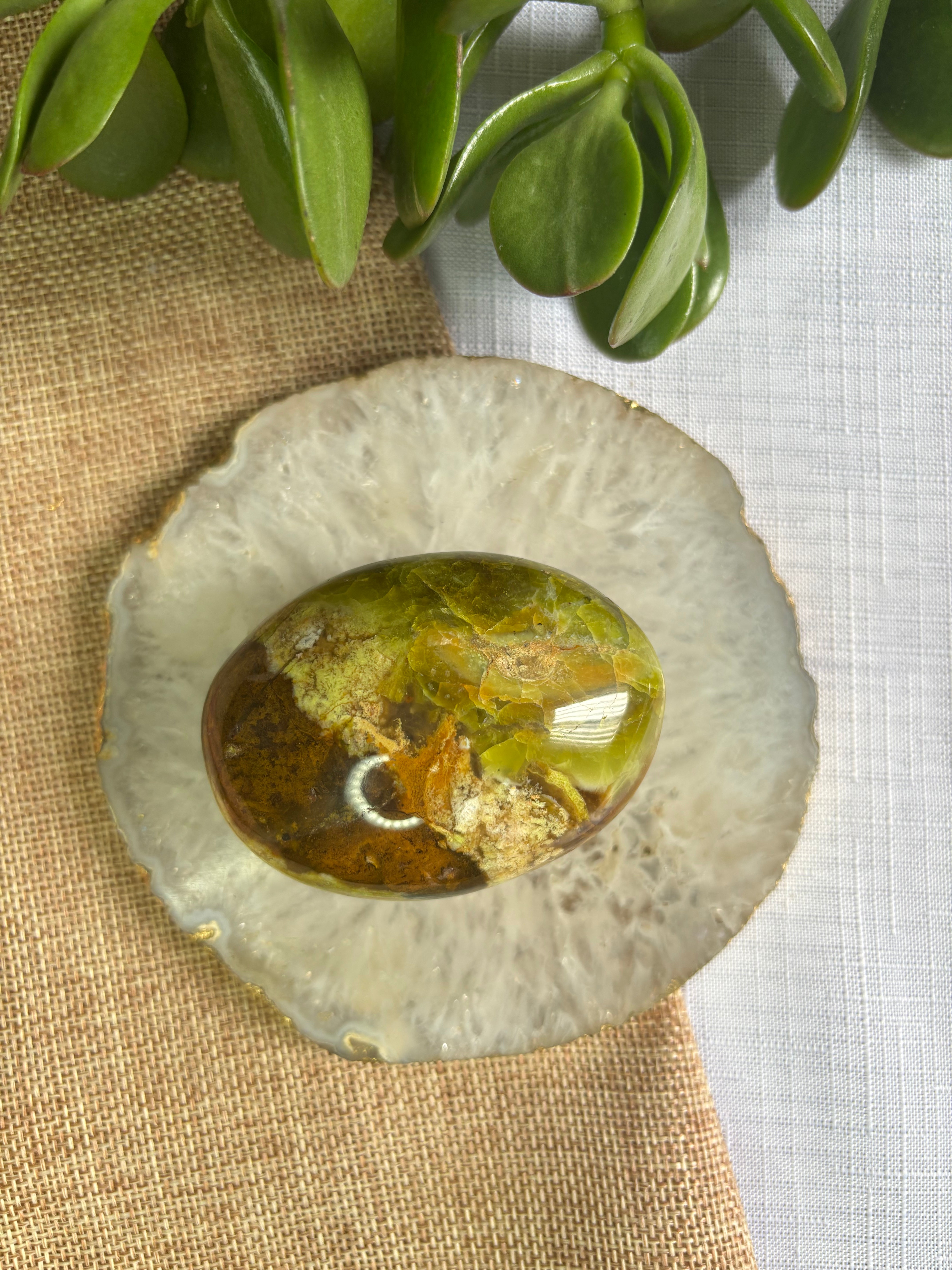 Green Opal Palm Stone