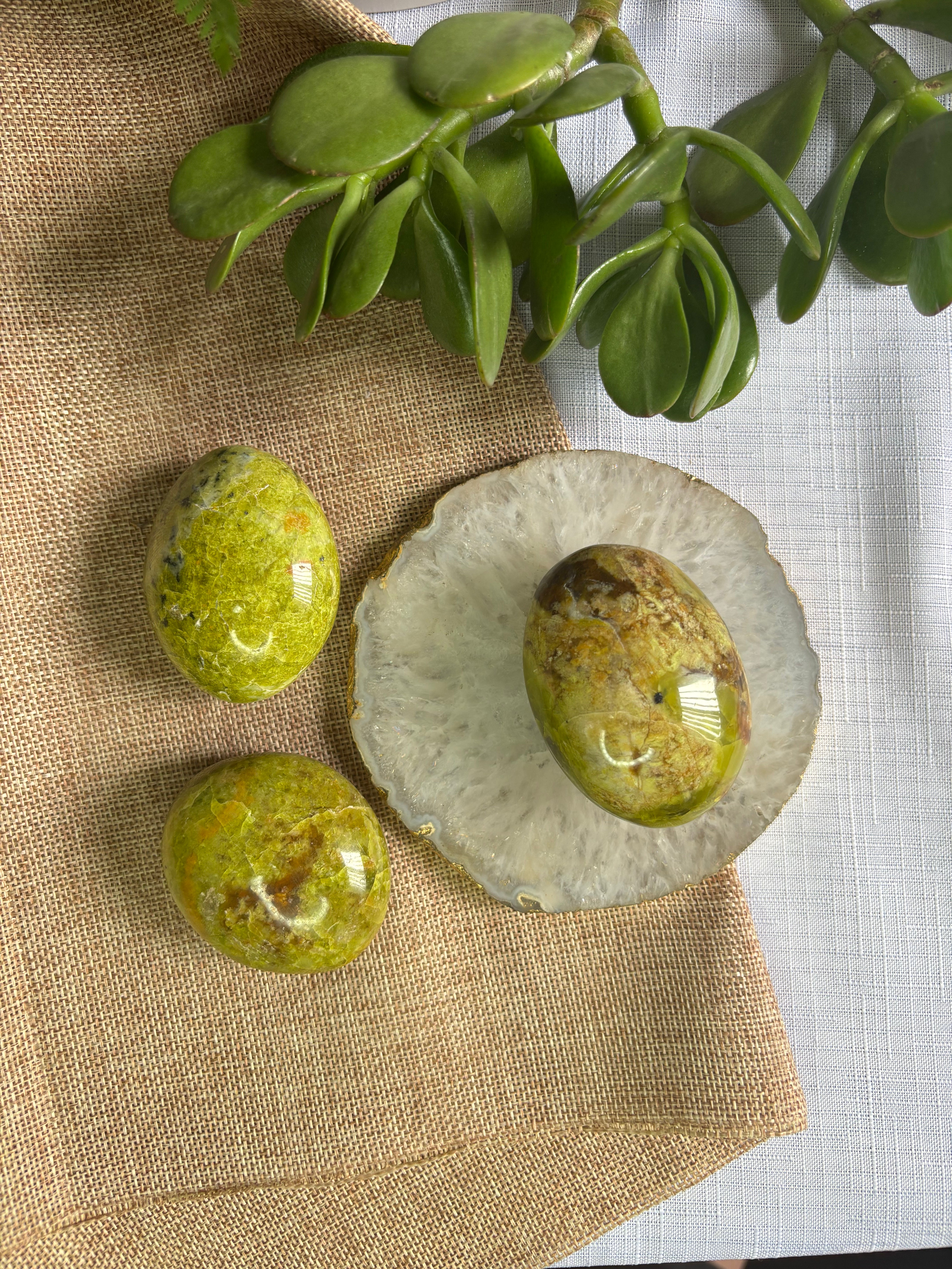 Green Opal Palm Stone