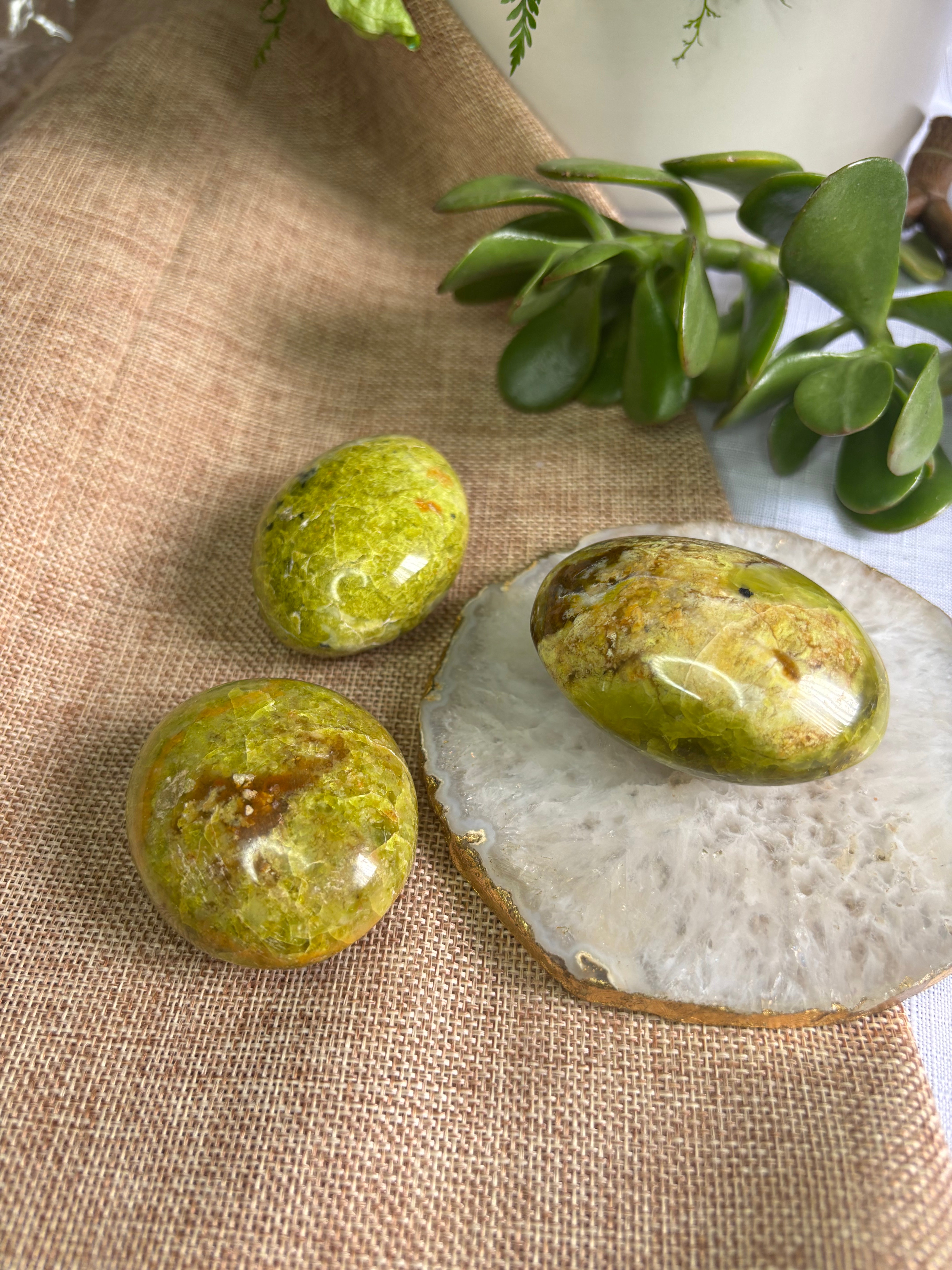 Green Opal Palm Stone