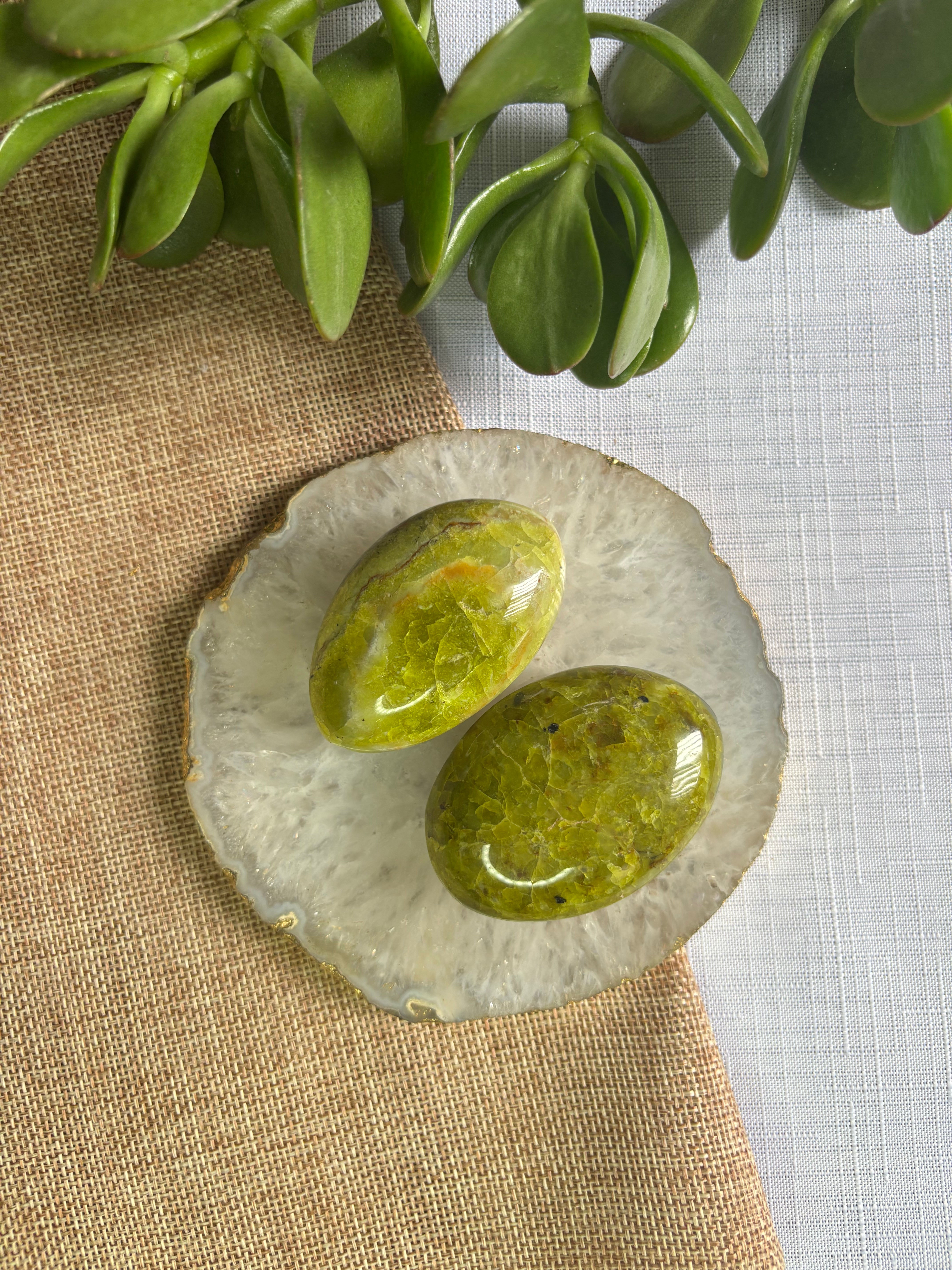 Green Opal Palm Stone