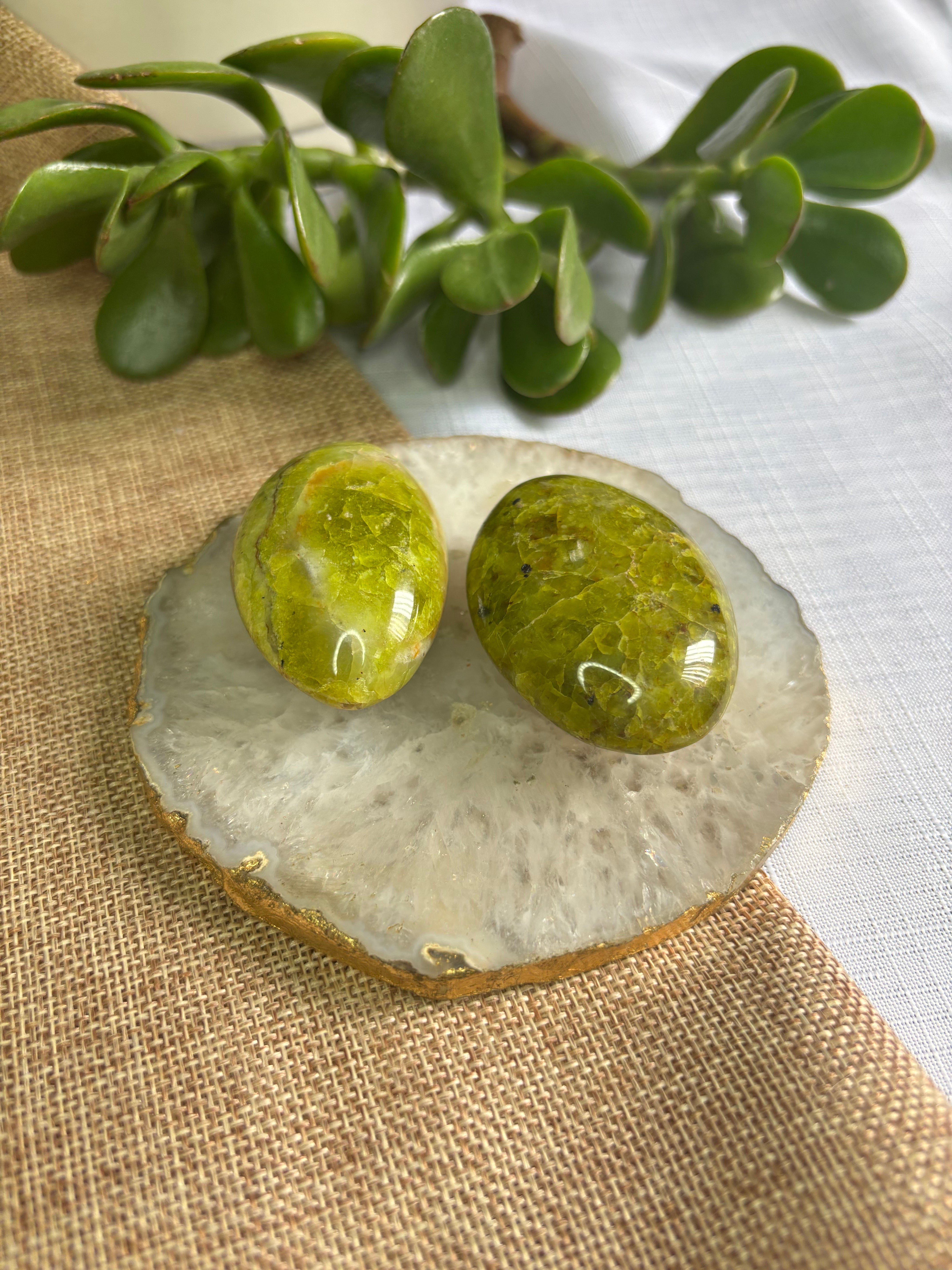 Green Opal Palm Stone