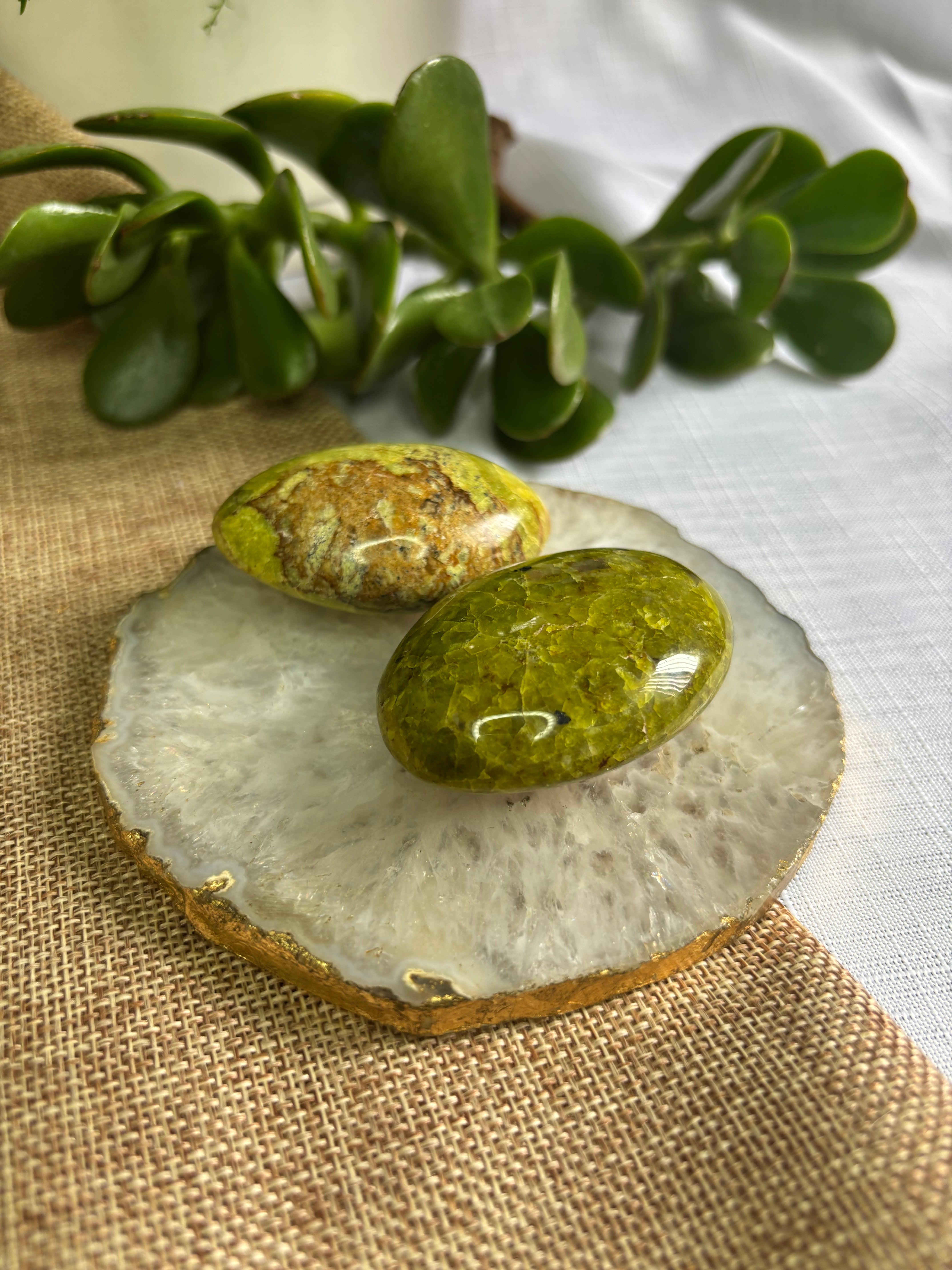 Green Opal Palm Stone