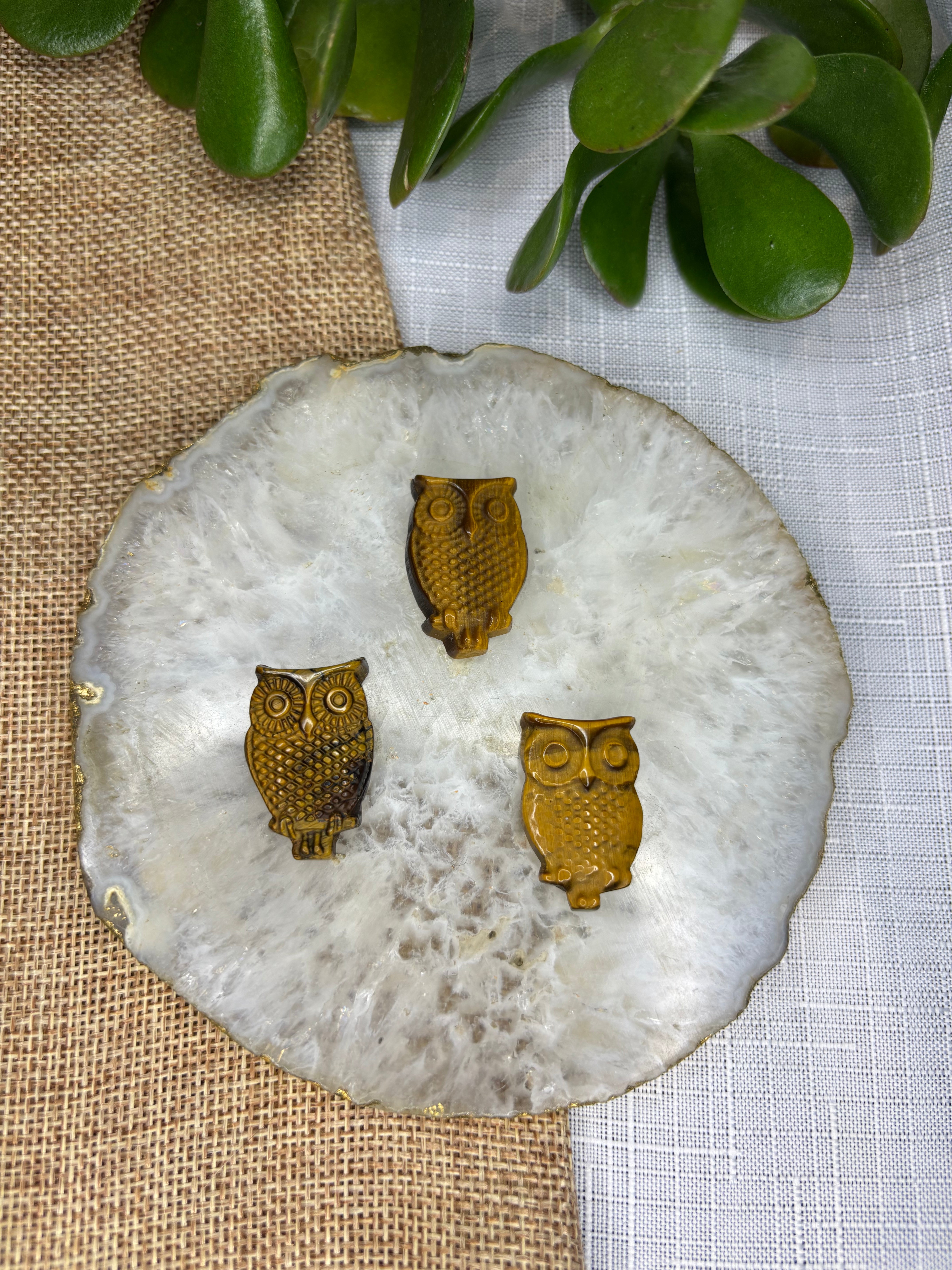 Tiger’s Eye Mini Carving