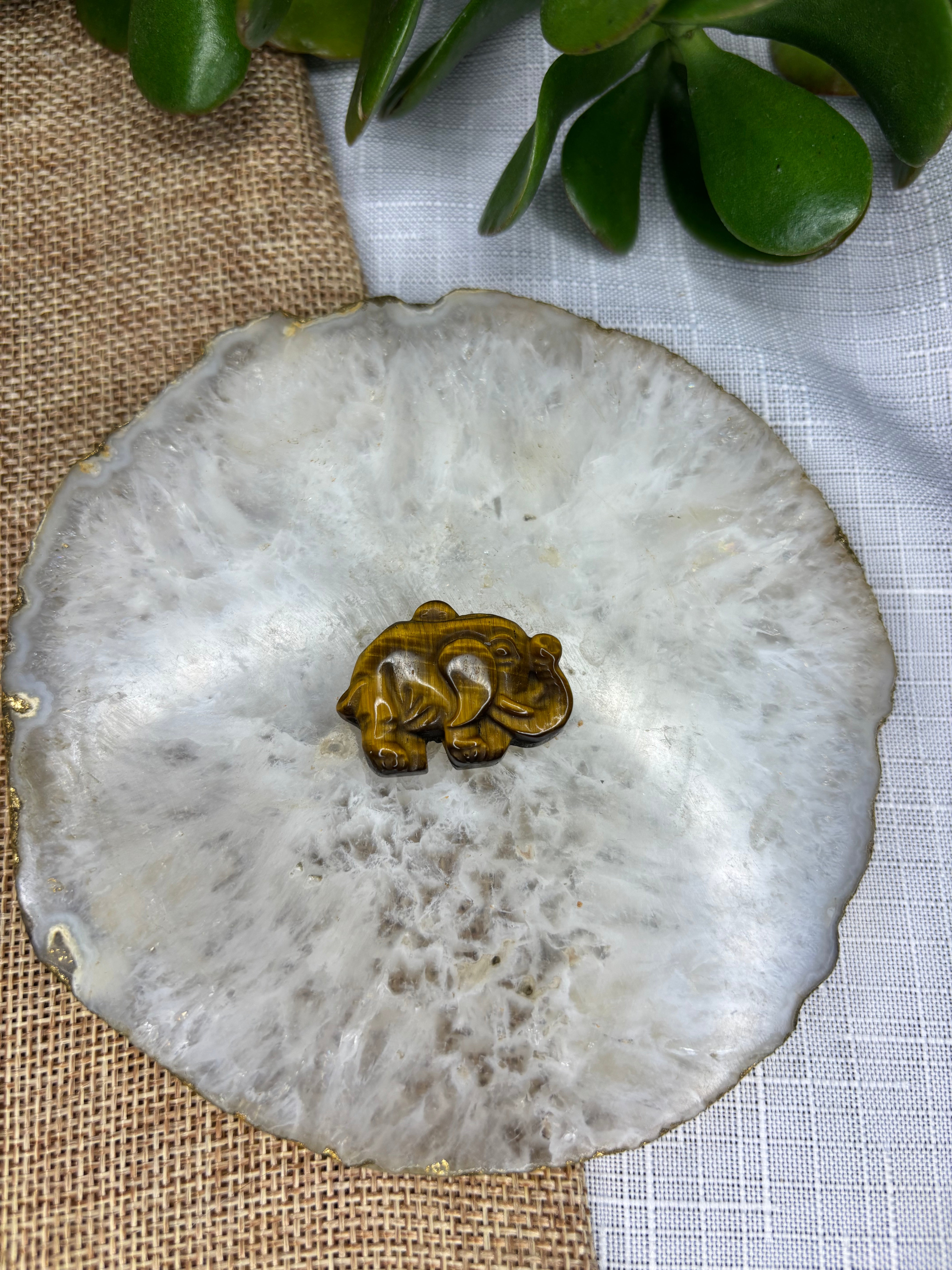 Tiger’s Eye Mini Carving